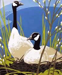 Canada Geese, by AJ Casson